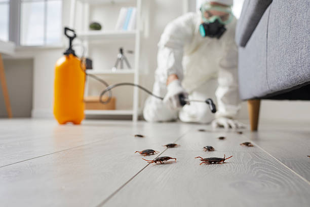 Commercial Kitchen Cockroach Control in Ocilla